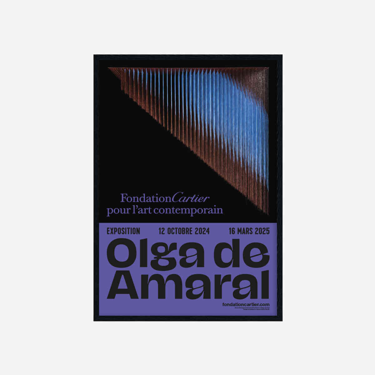 affiche expo Olga de Amaral