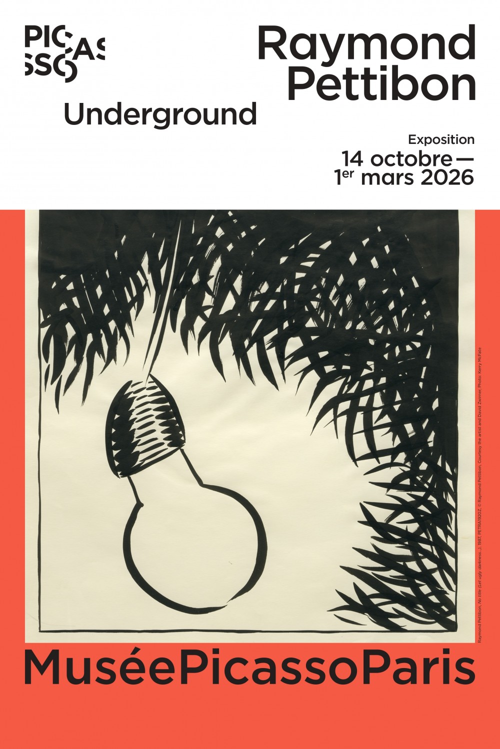 affiche expo Raymond Pettibon