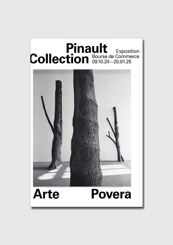 affiche expo Arte Povera